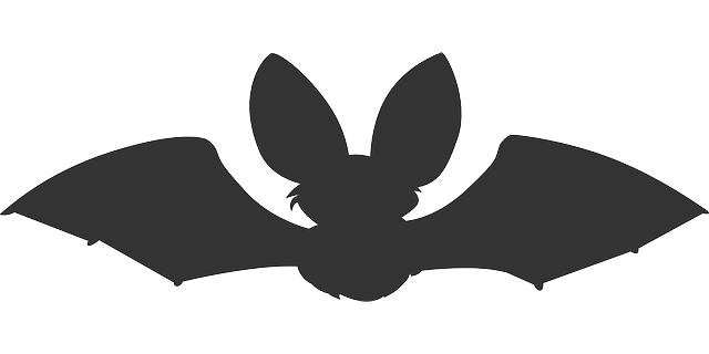 640x320 Free Pictures Bat
