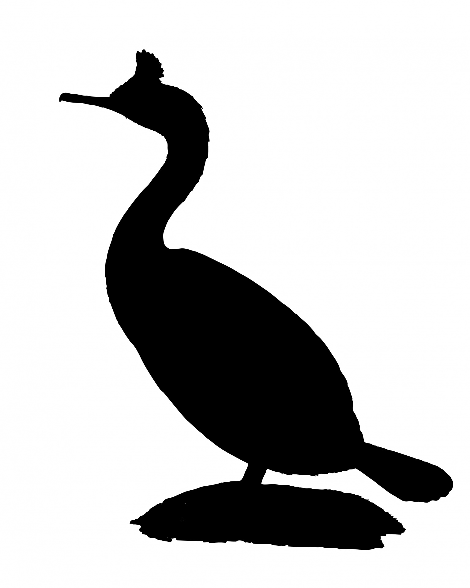 1535x1920 Bird Silhouette, Cormorant Free Stock Photo