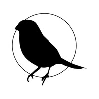 200x200 Shape Shapes Silhouette Silhouettes Cutout Cut Out Bird Birds