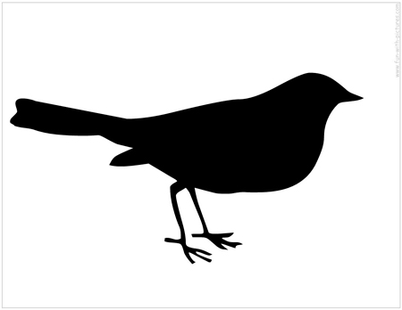 450x348 Best Photos Of Simple Bird Silhouette