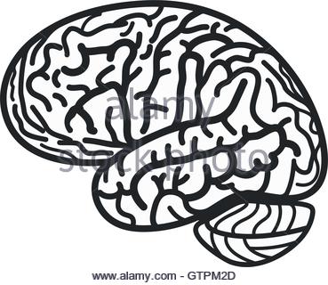 369x320 Brain Logo Silhouette Design Vector Template. Think Idea Stock