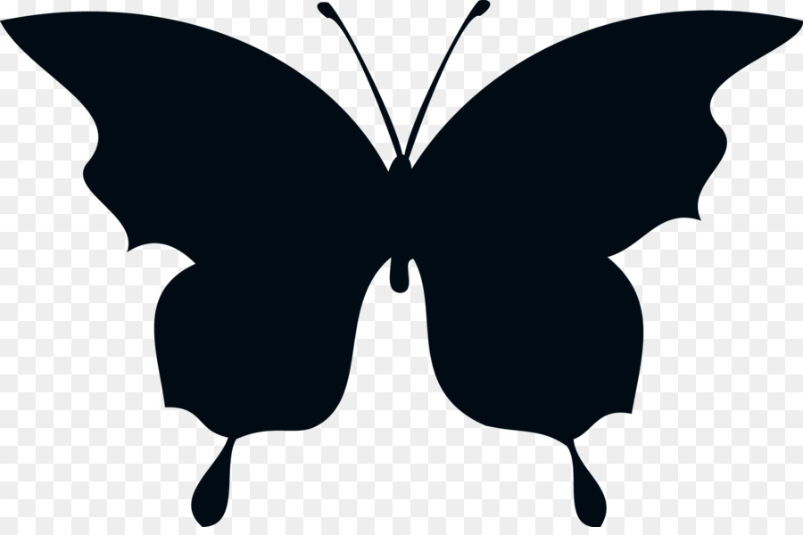 900x600 Butterfly Silhouette Drawing Clip Art