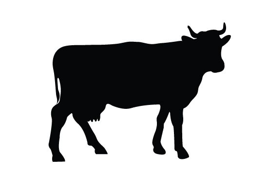 550x354 Cow Silhouette Vector Cow, Clip Art And Silhouettes