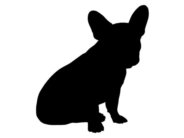Silhouette Of A Dog