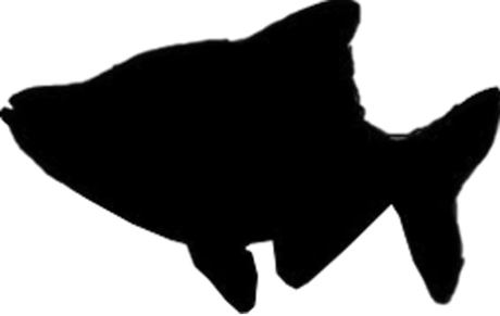 460x291 Second Life Marketplace