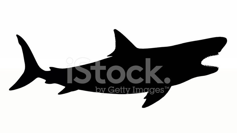 783x440 Silhouette Of A White Shark Stock Photos