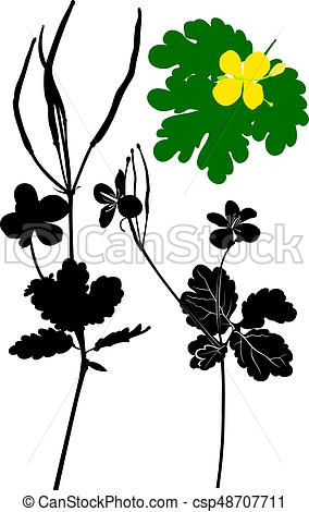 284x470 Black Silhouette Plants, Flower On A White Background . Stock