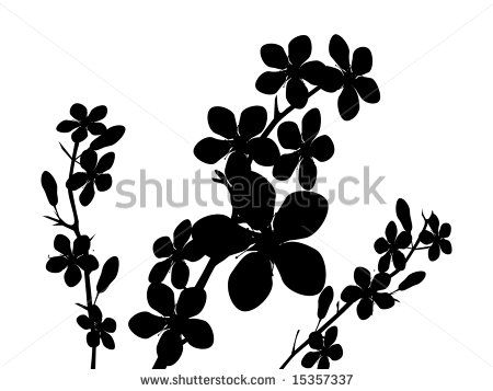 450x357 Tree Branch With Flower. Silhouette