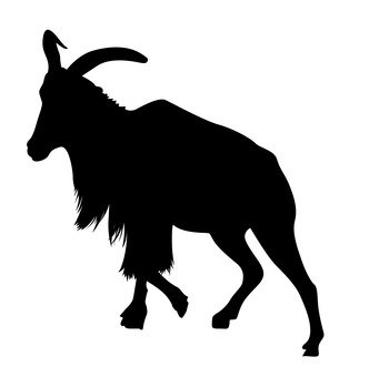 341x340 Free Silhouettes Goat, An Illustration