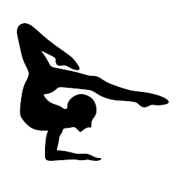 263x262 New Silhouettes Guitarist, Gymnast, And More