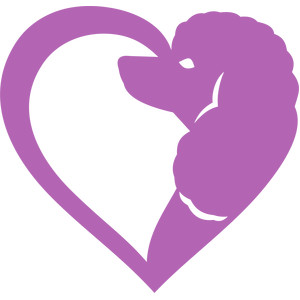 300x300 Silhouette Design Store