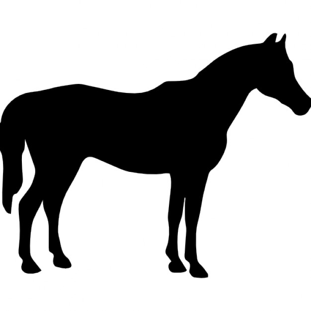 626x626 Horse Black Silhouette Facing To Right Icons Free Download