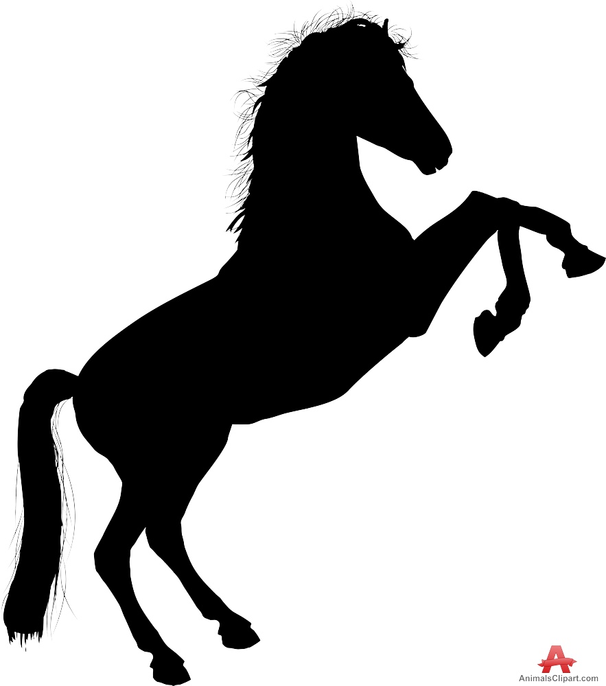 883x999 Legs Horse Clipart, Explore Pictures