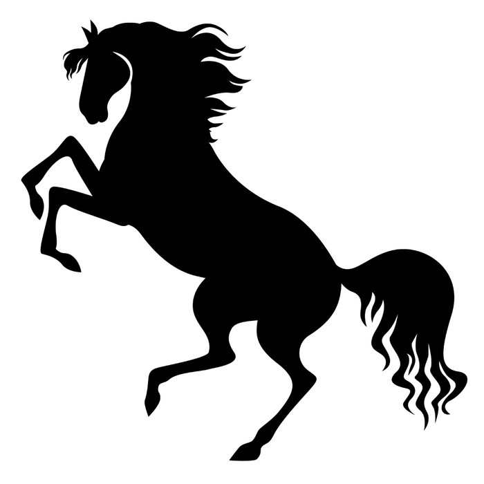 700x700 Silhouette Of Horse Reared Sticker We Live To Change