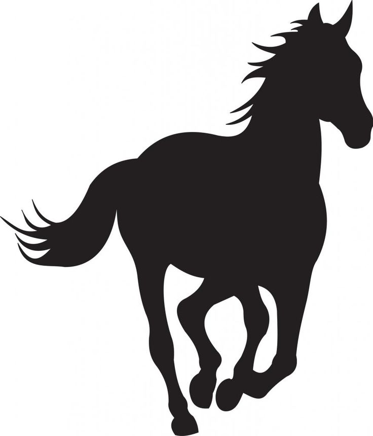 Silhouette Of A Horse Running