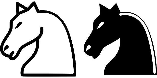 Silhouette Of A Knight