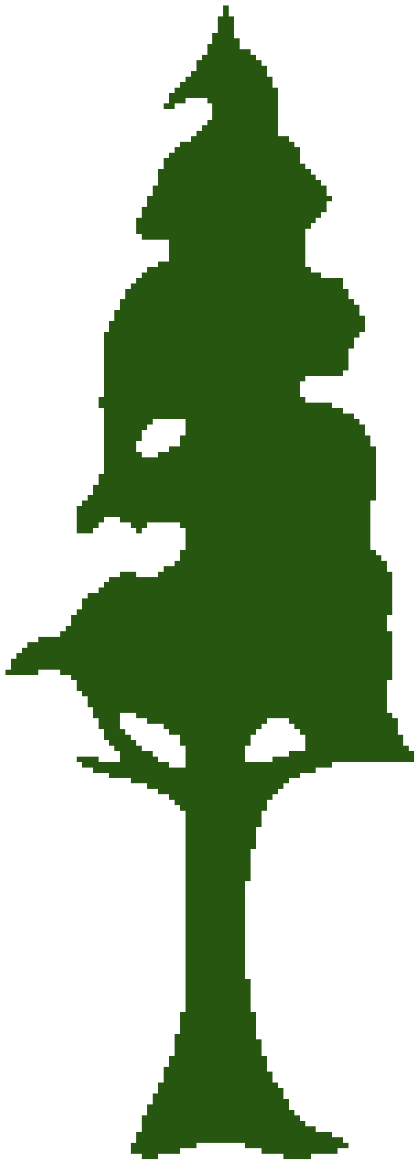 612x1700 Clip Art Pine Tree Logo Clip Art