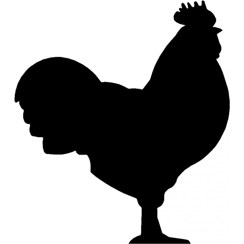 800x800 Rooster