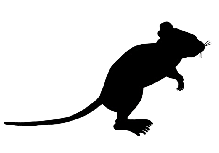 740x516 Mouse Clip Art