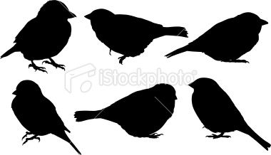 380x218 Sparrow Silhouettes. Traced From Photos That I Took. 300dpi Jpg