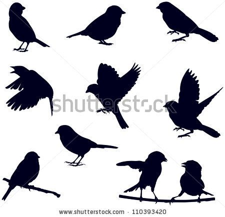 450x434 Vector Silhouettes Of Birds, Sparrows In Different Poses Bird