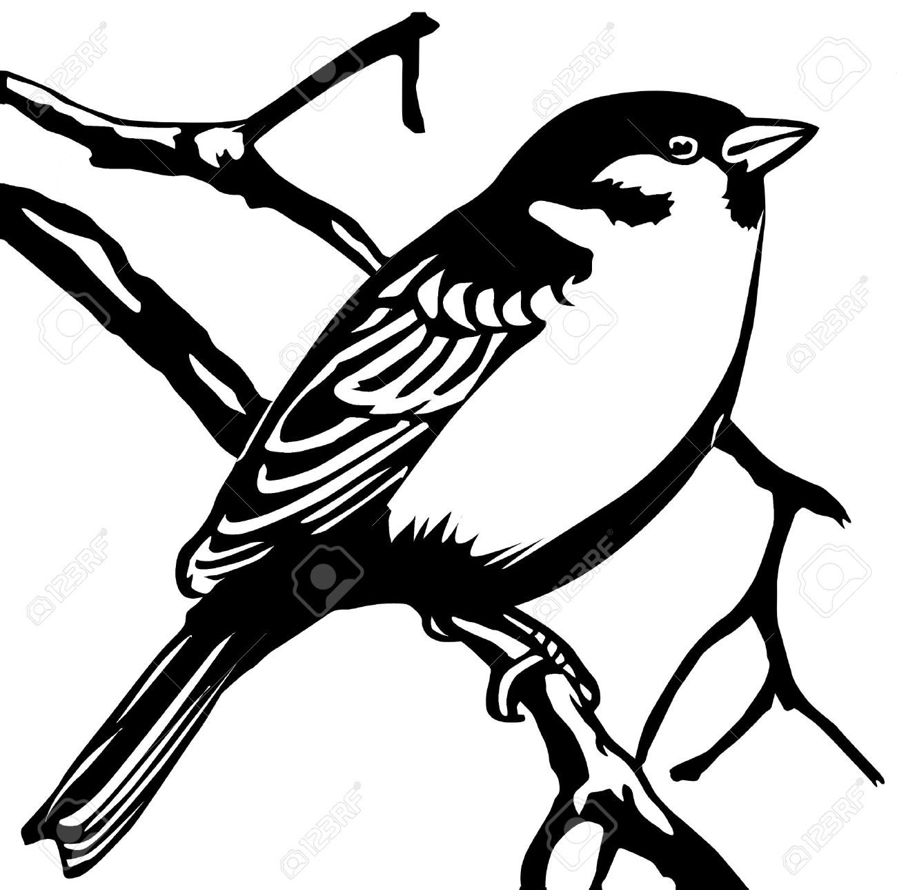 1300x1289 6657995 Silhouette Sparrow On White Background Stock Vector
