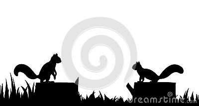 400x213 Stump, Squirrel For A New Home Tree Stump