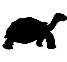 221x203 Turtle Silhouette Clip Art. Download Free Versions Of The Image
