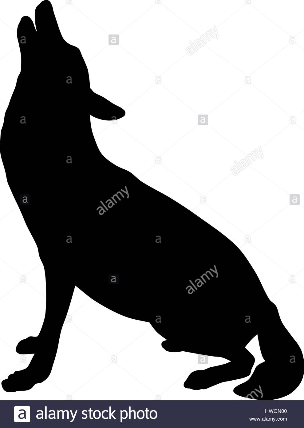 989x1390 Group Of Wolf Silhouette Stock Photos