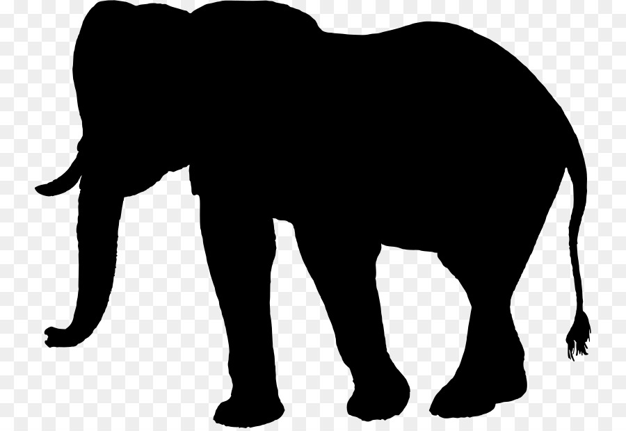 900x620 African Elephant Indian Elephant Clip Art