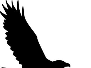 310x233 Eagle Silhouette Vector Free Vectors Ui Download