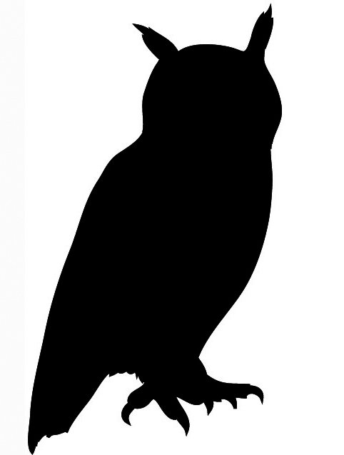 482x638 Owl Clipart Silhouette Many Interesting Cliparts