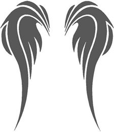 225x260 Angel Wings Drawing