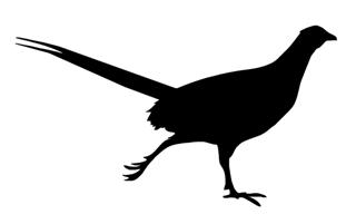 320x201 Bird Silhouette 9 Decal Sticker