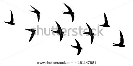 450x224 Flock Of Birds Clipart Flight Illustration