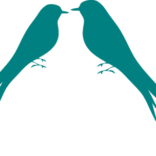 320x320 Tag For Love Bird Silhouette Birds In Tree Bird On Branch Clip