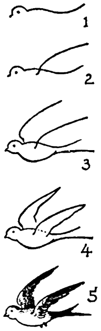 200x655 How To Draw Birds Swallows With Easy Step By Step Drawing Lesson