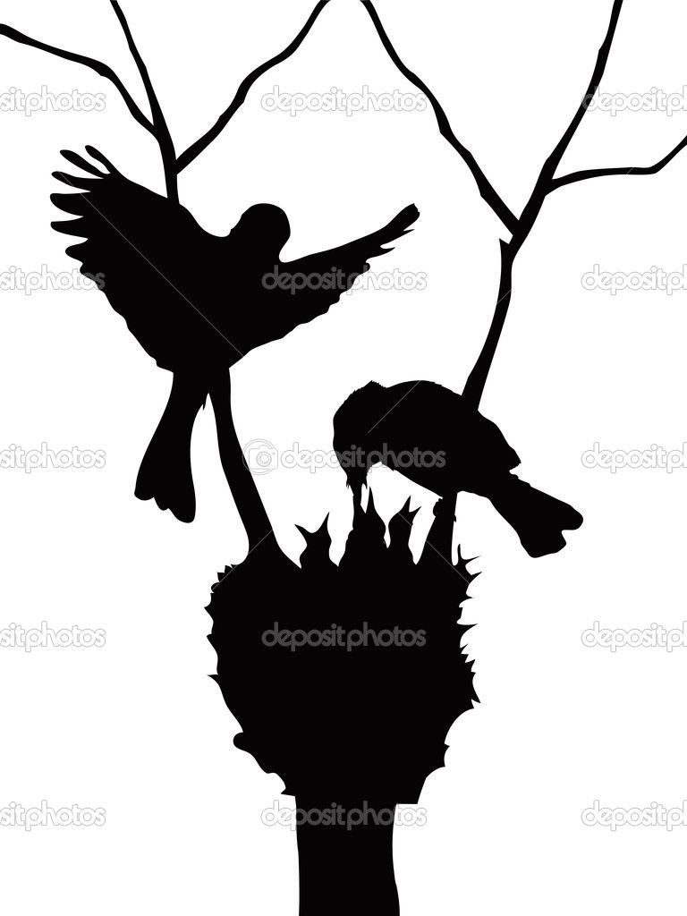 768x1024 Silhouettes Of Birds The Silhouette Of Lovely Birds Family