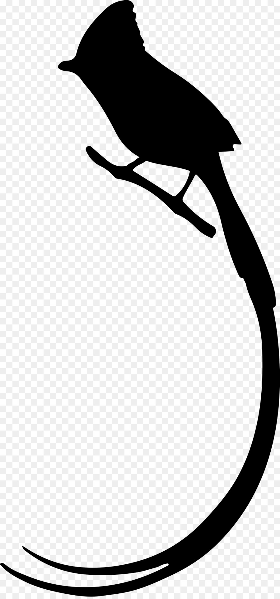 900x1920 Bird Long Tail Silhouette Owl Clip Art