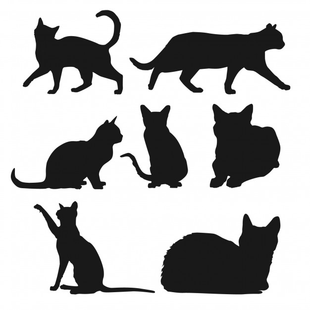 626x626 Black Cat Vectors, Photos And Psd Files Free Download