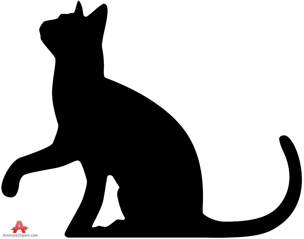 999x786 Cat Silhouette Looking Up