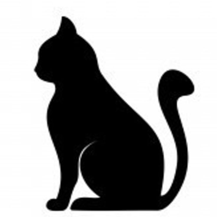 736x736 Clipart Cat Outline 47 Best Silhouettes Images On Black