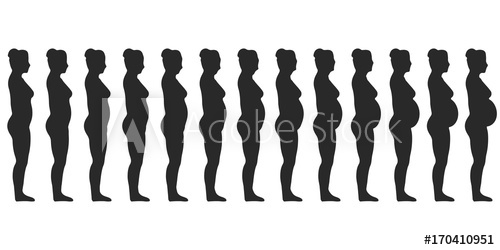 500x250 Set Silhouette Of A Pregnant Female Women, Changes In A Woman'S