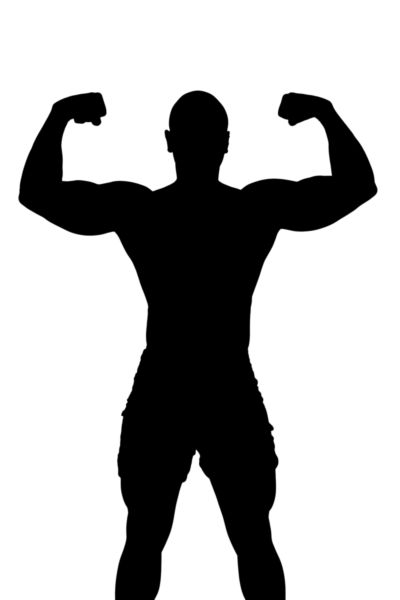 400x600 Silhouette Of A Body Builder