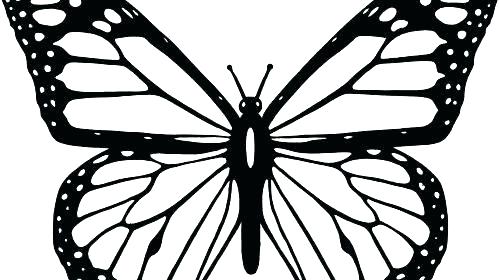 500x280 Outline Butterfly