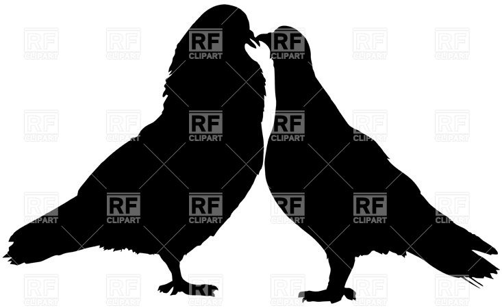 733x450 Couple Of Kissing Doves Royalty Free Vector Clip Art Image