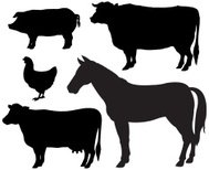 189x154 Silhouette Of Pigs Premium Clipart