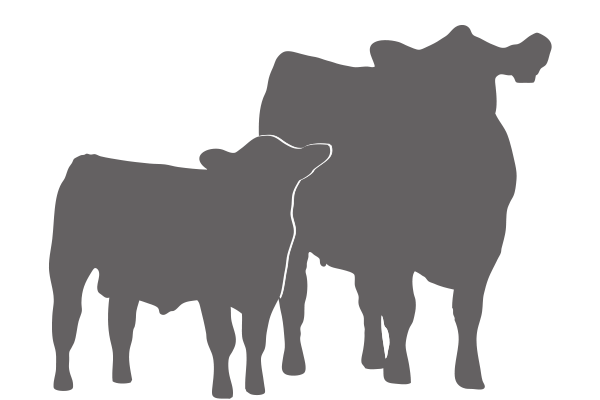 600x400 Vitaferm With The Amaferm Advantage