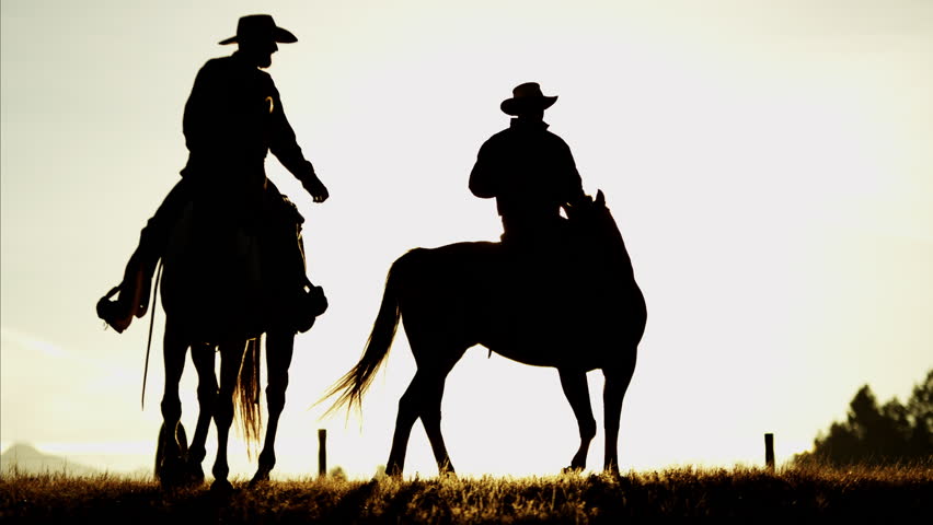 852x480 Cowgirl Leads Horses Down A Country Lane Stock Footage Video