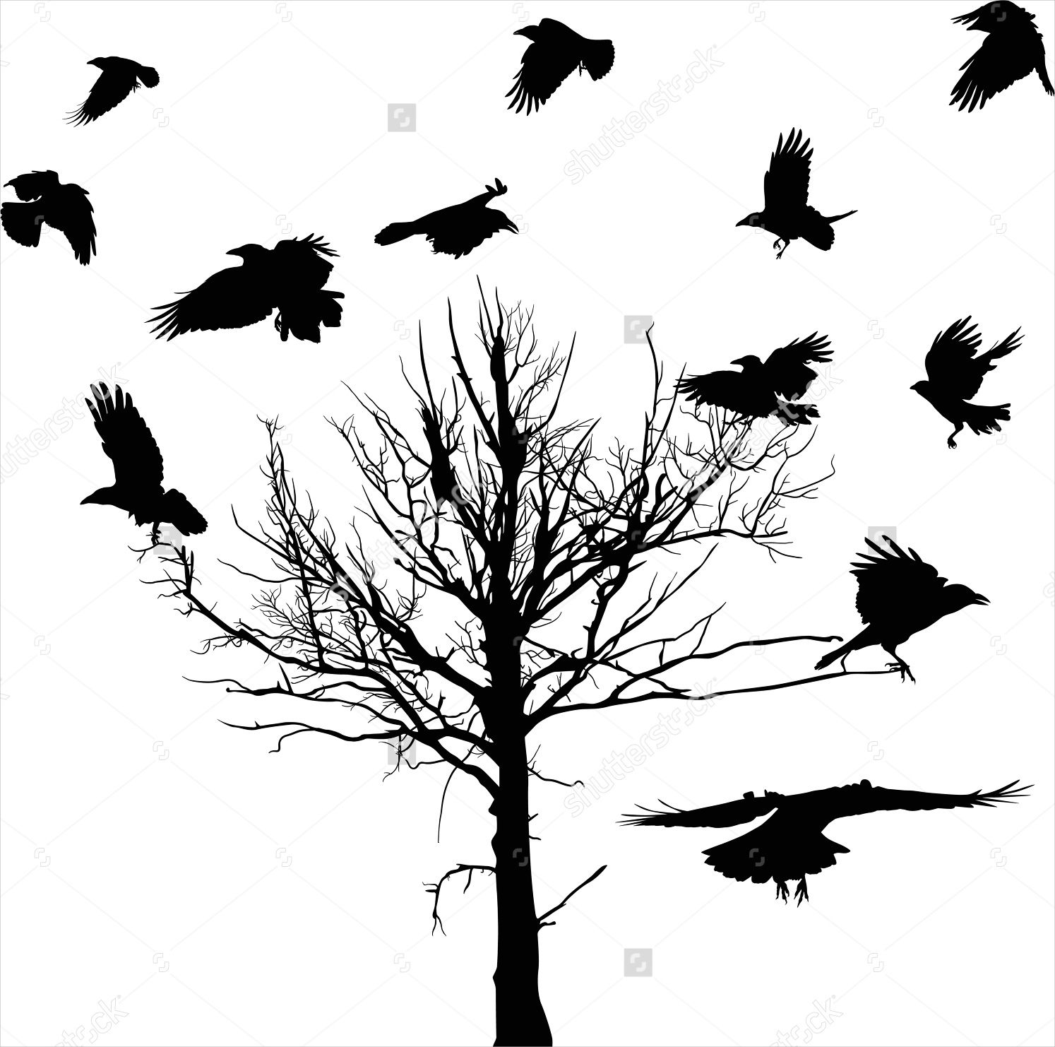 1494x1482 9 Crow Silhouette Designs